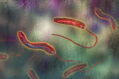 Vibrio kolerae bakterisi, 3 boyutlu illüstrasyon. Kolera hastalığına neden olan ve kirlenmiş su ile bulaşan bakteri.