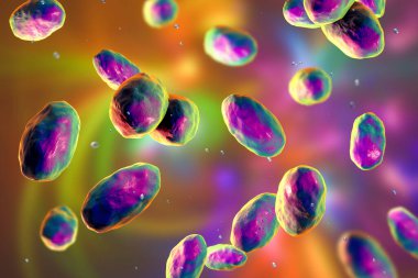 Yersinia psödotuberculosis bakteri, 3 boyutlu illüstrasyon. Enterobacteriaceae ailesinin Gram-negatif bakterisi, Yersiniosis 'in nedensel faktörü, Uzak Doğu kızıl benzeri ateş