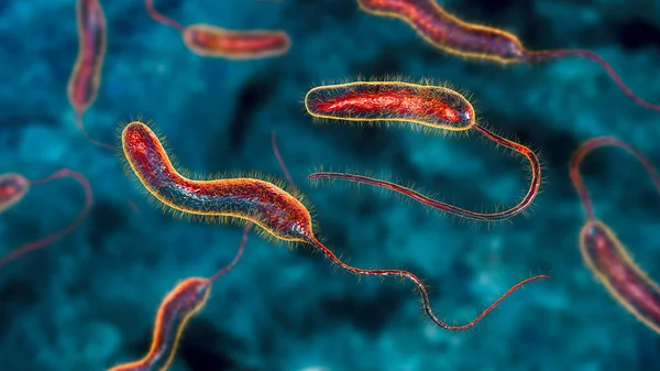 Vibrio cholerae bacteria, 3D illustration. Bacterium which causes cholera disease and is transmitted by contaminated water