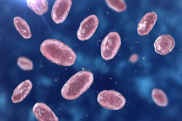 Yersinia enterocolitica bacteria, 3D illustration. Gram-negative bacteria of Enterobacteriaceae family, the causative agent of yersiniosis, mesenteric lymphadenitis