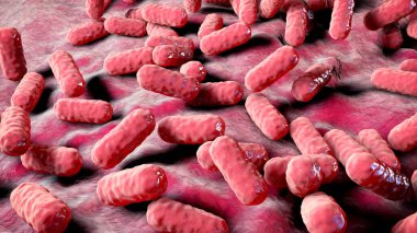 Enterobacter bakterisi, gram-negatif çubuk şekilli bakteri, normal bağırsak mikrobiyomu parçası ve hastane tarafından satın alınan nosokomik antibiyotiğe dayanıklı enfeksiyonlar, 3 boyutlu illüstrasyon.