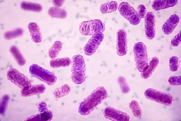 Enterobacter Bacteria Gram Negative Rod Shaped Bacteria Part Normal Microbiome — Stock Photo, Image