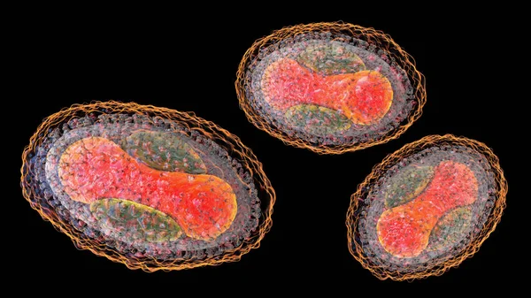 Вирус Molluscum Contagiosum Иллюстрация Вирус Семейства Poxvirus Вызывает Кожную Инфекцию — стоковое фото