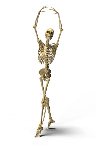 Dansens Och Balettens Anatomi Illustration Som Visar Skelettets Aktivitet Balettdans — Stockfoto