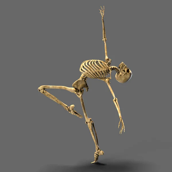 Anatomie Van Dans Ballet Illustratie Van Skeletactiviteit Ballet Dansen — Stockfoto