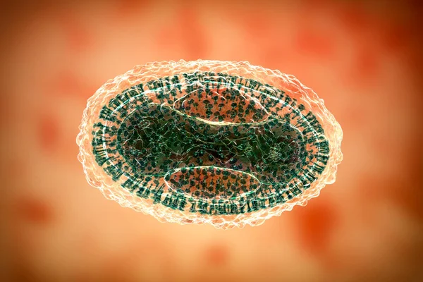 Variola virus, a virus from Orthopoxviridae family that causes smallpox, and other viruses from pox family, monkeypox, molluscum contagiosum virus, 3D illustration
