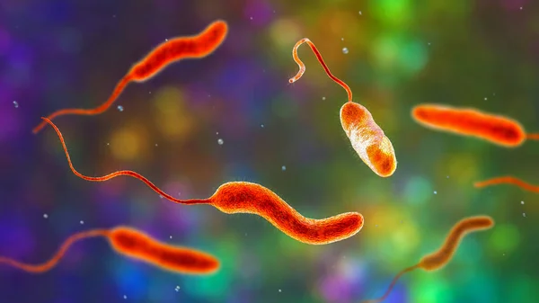 Vibrio Cholerae Bacteria Ilustración Bacterias Que Causan Enfermedad Del Cólera — Foto de Stock