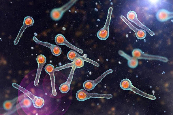 Clostridium Tetani Bacteria Causative Agent Tetanus Illustration — Zdjęcie stockowe