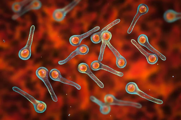 Clostridium Tetani Bacteria Causative Agent Tetanus Illustration — Stockfoto