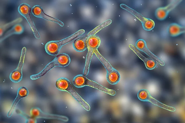 Клеточный Столбняк Бактерии Возбудитель Столбняка Иллюстрация — стоковое фото