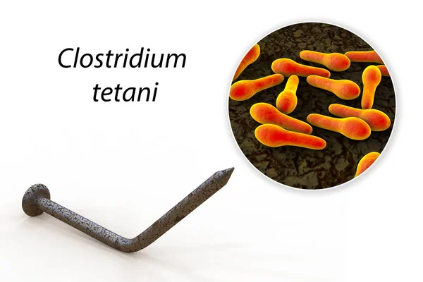 Tetano Bactérias Clostridium Tetani Uma Unha Metal Enferrujado Como Uma — Fotografia de Stock