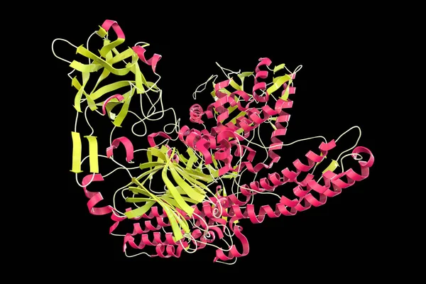 Molecule Tetanus Neurotoxin Illustration Neurotoxin Protein Produced Bacterium Clostridium Tetani — Photo