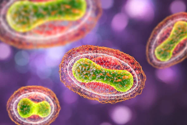 Variola virus, a virus from Orthopoxviridae family that causes smallpox, and other viruses from pox family, monkeypox, molluscum contagiosum virus, 3D illustration