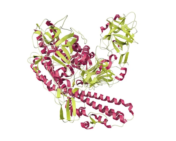 Molécule Neurotoxine Tétanique Illustration Une Protéine Neurotoxine Produite Par Bactérie — Photo