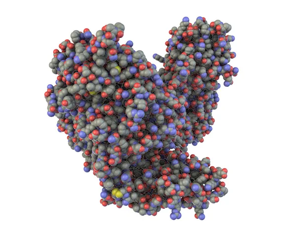 Molécule Neurotoxine Tétanique Illustration Une Protéine Neurotoxine Produite Par Bactérie — Photo