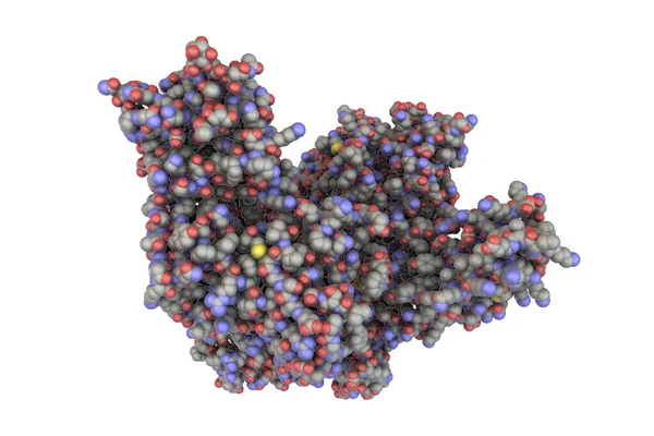 Molecule Tetanus Neurotoxin Illustration Neurotoxin Protein Produced Bacterium Clostridium Tetani — Photo