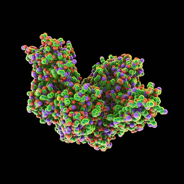 Molecule Tetanus Neurotoxin Illustration Neurotoxin Protein Produced Bacterium Clostridium Tetani — Zdjęcie stockowe