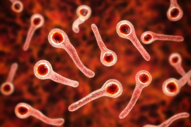 Clostridium tetani bacteria, the causative agent of tetanus disease, 3D illustration