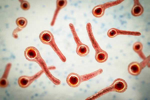Clostridium Tetani Bactérias Agente Causador Doença Tétano Ilustração — Fotografia de Stock