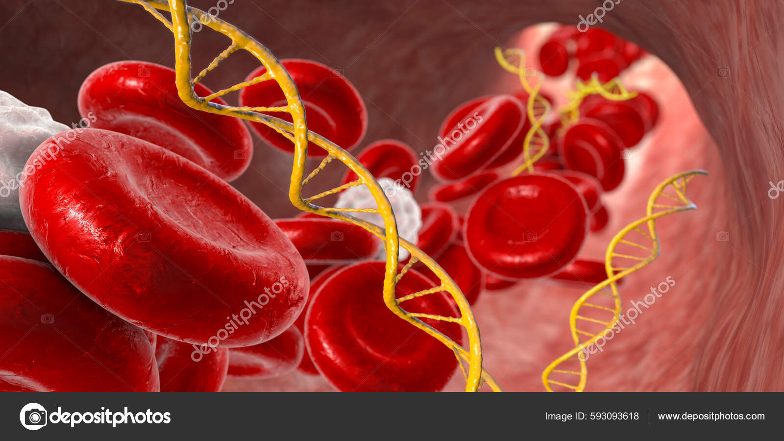 Cell Free Nucleic Acids Human Blood Illustration Dna Rna Fragments ...