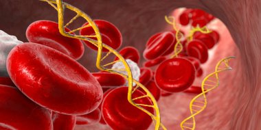 Hücre içermeyen nükleik asitler insan kanında, 3 boyutlu resimleme. Bireyin sağlığı hakkında önemli bilgiler içeren ve farklı hastalıkların teşhisinde kullanılan DNA ve RNA parçaları