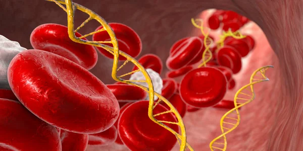 Cell Free Nucleic Acids Human Blood Illustration Dna Rna Fragments — Stok fotoğraf