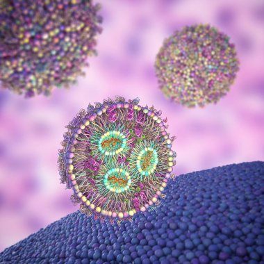 Lipid nanoparticle mRNA vaccine used against Covid-19 and influenza. 3D illustration showing cross-section of lipid nanoparticle carrying mRNA of the virus (orange) entering a human cell