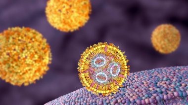 Lipid nanoparticle mRNA vaccine. A type of vaccine used against Covid-19 and influenza. 3D illustration showing cross-section of the lipid nanoparticle carrying mRNA of the virus entering a human cell