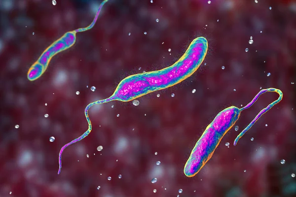 Vibrio cholerae bacteria, 3D illustration. Bacterium which causes cholera disease and is transmitted by contaminated water