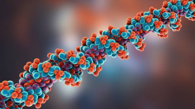 Molecular model of DNA. Double helix of DNA made of atoms. 3D illustration