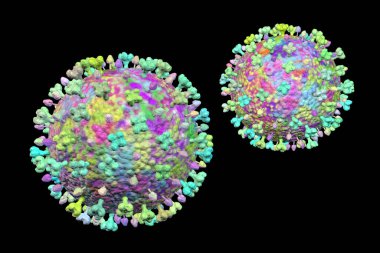 Langya virus, 3D illustration. Langya henipavirus (LayV), a new, animal-derived virus that causes disease in humans with fever, fatigue, and coughing