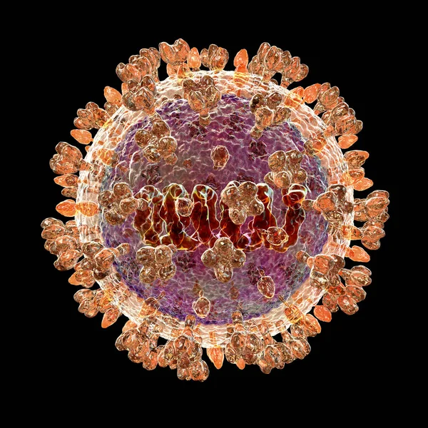 Langya Virus Illustration Langya Henipavirus Layv New Animal Derived Virus — Foto de Stock