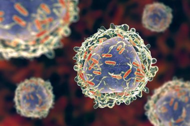 Mitokondrili lösemi beyaz kan hücresi, 3 boyutlu illüstrasyon. Mitokondriyal metabolizma lösemi için potansiyel bir tedavi hedefidir.