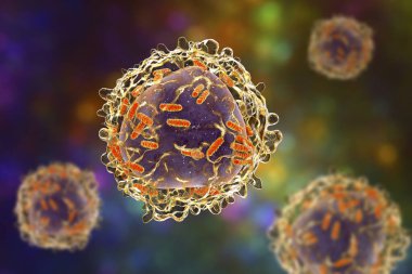 Mitokondrili lösemi beyaz kan hücresi, 3 boyutlu illüstrasyon. Mitokondriyal metabolizma lösemi için potansiyel bir tedavi hedefidir.