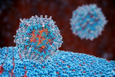 Lipid nanopartikül siRNA antiviralleri insan hücresine giriyor. Bir çeşit nanopartikül taşıma sistemi, Covid-19 'a karşı antiviral ilaç, 3 boyutlu illüstrasyon