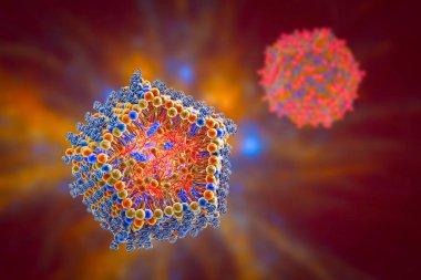 Lipid nanopartikül siRNA dağıtım sistemi. Covid-19 'a karşı kullanılan bir çeşit antiviral ilaç. 3 boyutlu illüstrasyon virüsün siRNA 'sını taşıyan lipid nanopartikülünün enine kesitini gösteriyor (turuncu)