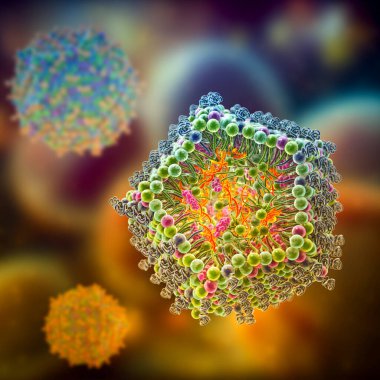 Lipid nanopartikül siRNA dağıtım sistemi. Covid-19 'a karşı kullanılan bir çeşit antiviral ilaç. 3 boyutlu illüstrasyon virüsün siRNA 'sını taşıyan lipid nanopartikülünün enine kesitini gösteriyor (turuncu)