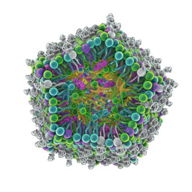 Lipid nanopartikül siRNA dağıtım sistemi. Covid-19 'a karşı kullanılan bir çeşit antiviral ilaç. 3 boyutlu illüstrasyon virüsün siRNA 'sını taşıyan lipid nanopartikülünün enine kesitini gösteriyor (turuncu)