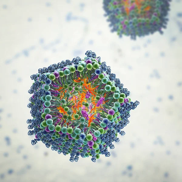 Lipid nanoparticle siRNA delivery system. A type of antiviral drug used against Covid-19. 3D illustration showing cross-section of the lipid nanoparticle carrying siRNA of the virus (orange)