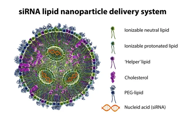 Lipidnanopartikelns Sirna Tillförselsystem Typ Antiviralt Läkemedel Mot Covid Illustration Som — Stockfoto