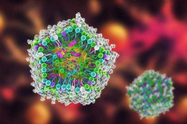 Lipid nanopartikül siRNA dağıtım sistemi. Covid-19 'a karşı kullanılan bir çeşit antiviral ilaç. 3 boyutlu illüstrasyon virüsün siRNA 'sını taşıyan lipid nanopartikülünün enine kesitini gösteriyor (turuncu)
