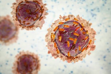 Mitokondrili lösemi beyaz kan hücresi, 3 boyutlu illüstrasyon. Mitokondriyal metabolizma lösemi için potansiyel bir tedavi hedefidir.