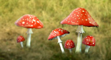 Kırmızı başlıklı ve beyaz noktalı tarımsal mantar, Amanita muscaria mantarı, 3 boyutlu illüstrasyon
