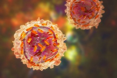Mitokondrili lösemi beyaz kan hücresi, 3 boyutlu illüstrasyon. Mitokondriyal metabolizma lösemi için potansiyel bir tedavi hedefidir.