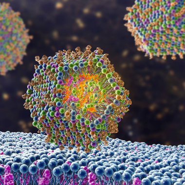 Lipid nanopartikül siRNA antiviralleri insan hücresine giriyor. Bir çeşit nanopartikül taşıma sistemi, Covid-19 'a karşı antiviral ilaç, 3 boyutlu illüstrasyon