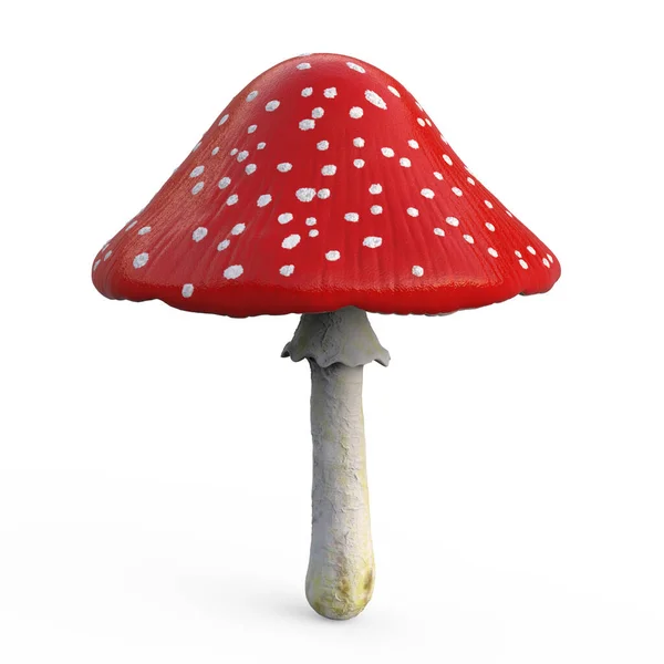 stock image Fly agaric mushroom with red cap and white dots, Amanita muscaria mushroom, 3D illustration