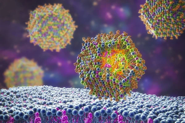 Lipidnanopartiklar Sirna Antivirala Medel Som Förs Mänsklig Cell Typ Nanopartiklar — Stockfoto