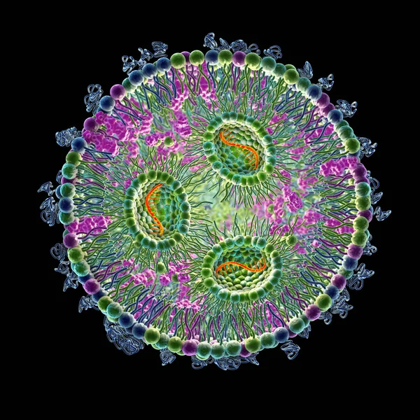 Lipid Nanoparticle Mrna Vaccine Type Vaccine Used Covid Influenza Illustration — Stock Photo, Image