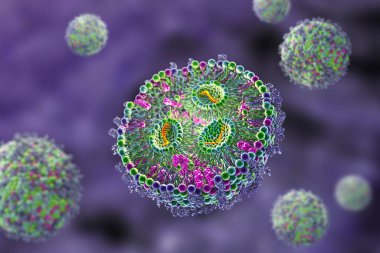 Lipid nanopartikül mRNA aşısı, Covid-19 ve gribe karşı kullanılan bir aşı türü. Virüsün mRNA 'sını taşıyan bir lipid nanopartikülünün kesitini gösteren 3D illüstrasyon (turuncu).