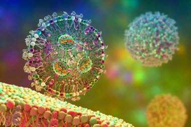 Lipid nanopartikül mRNA aşısı, Covid-19 ve gribe karşı kullanılan bir aşı türü. Virüsün mRNA 'sını taşıyan bir lipid nanopartikülünün kesitini gösteren 3D illüstrasyon (turuncu).